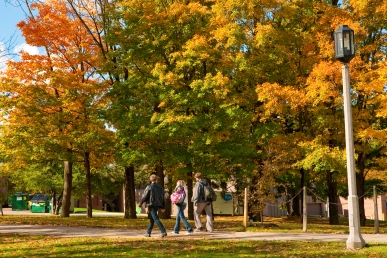 Autumn Stock Imagery_029