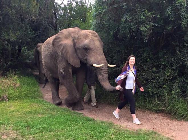 11665520_10206493271243503_1343250978932109694_n