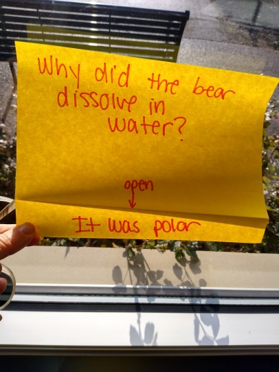 IMG_20211202_114558035_HDR