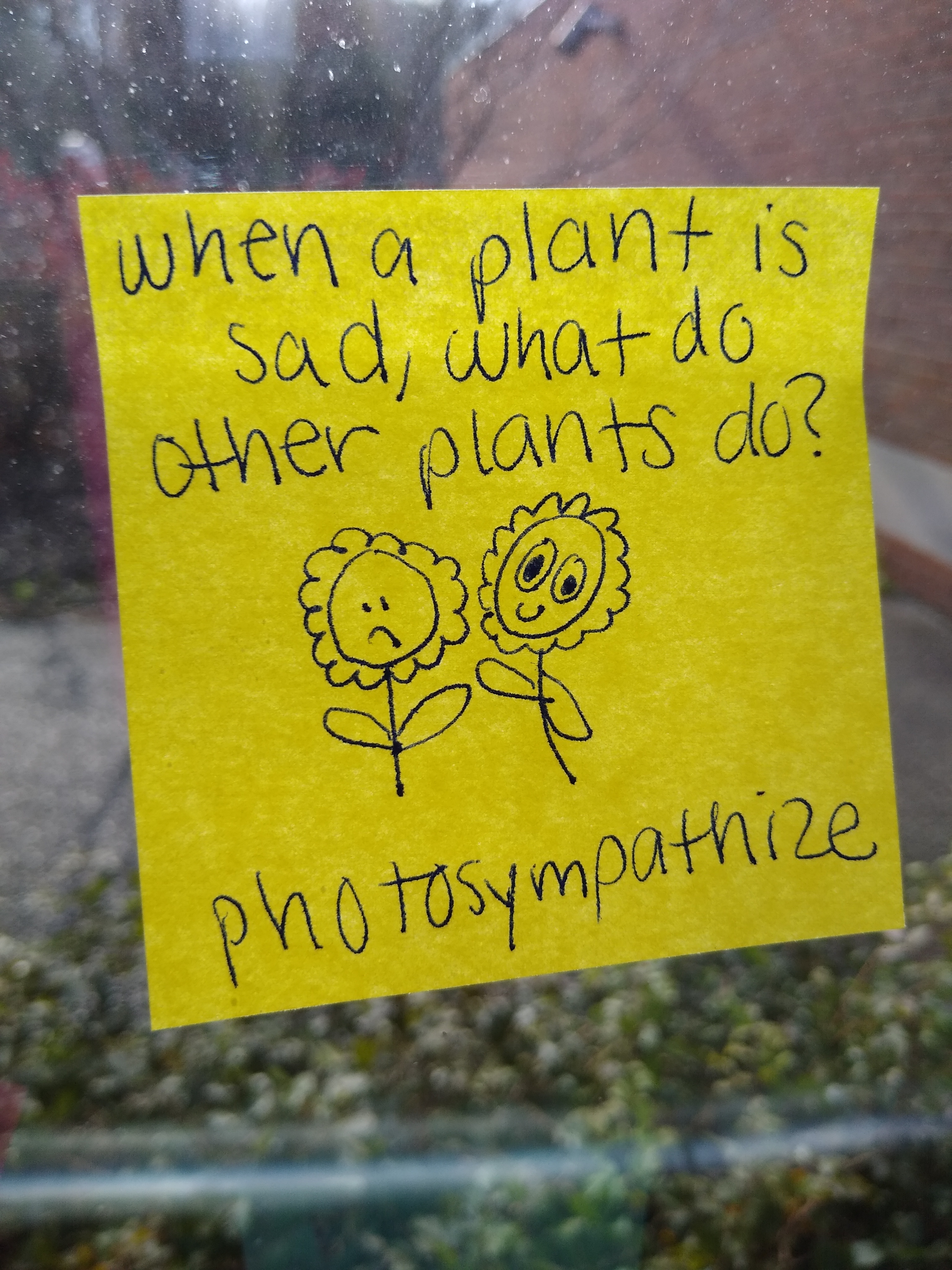 IMG_20211202_114657259