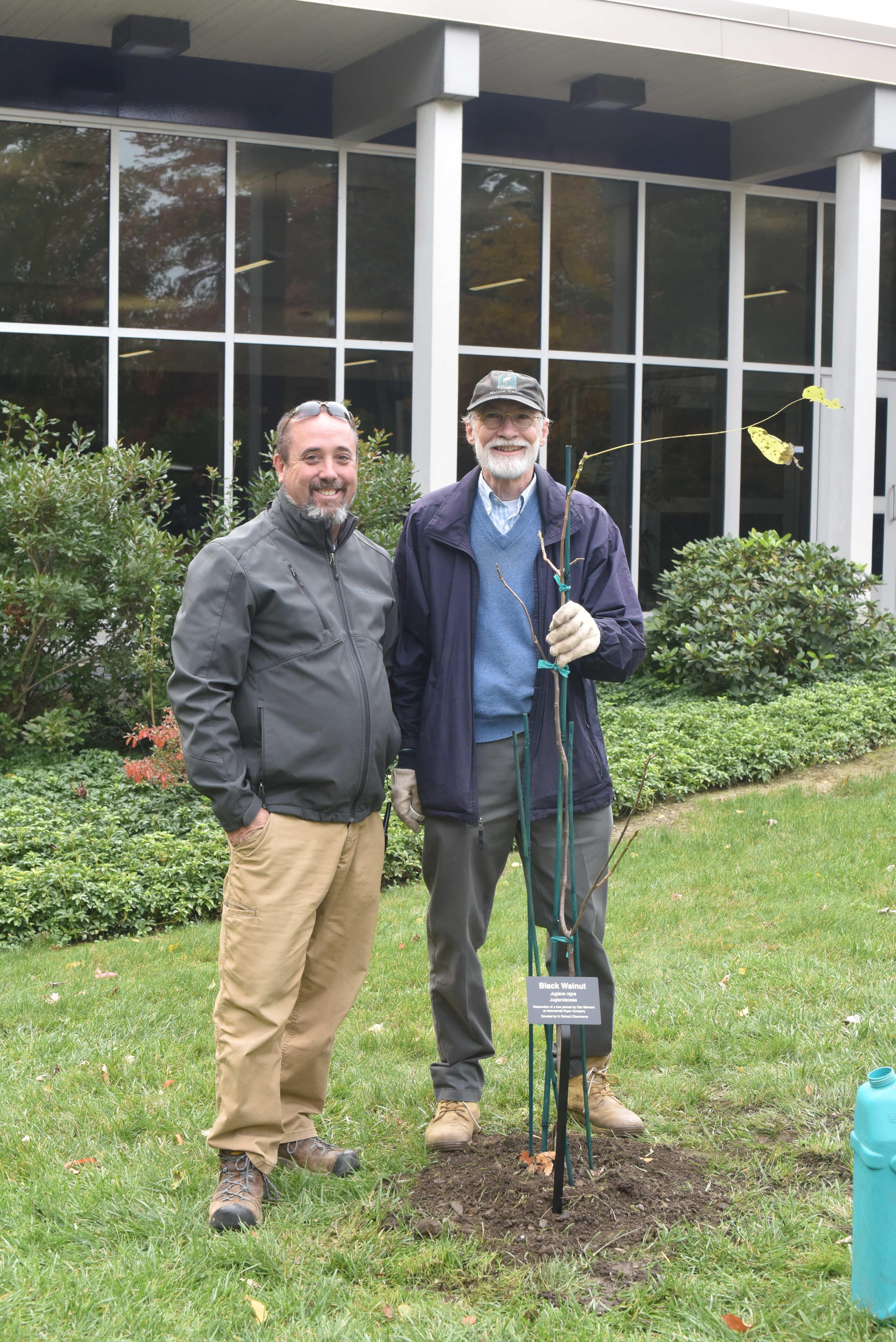 walnut tree planting - h.c. (11)