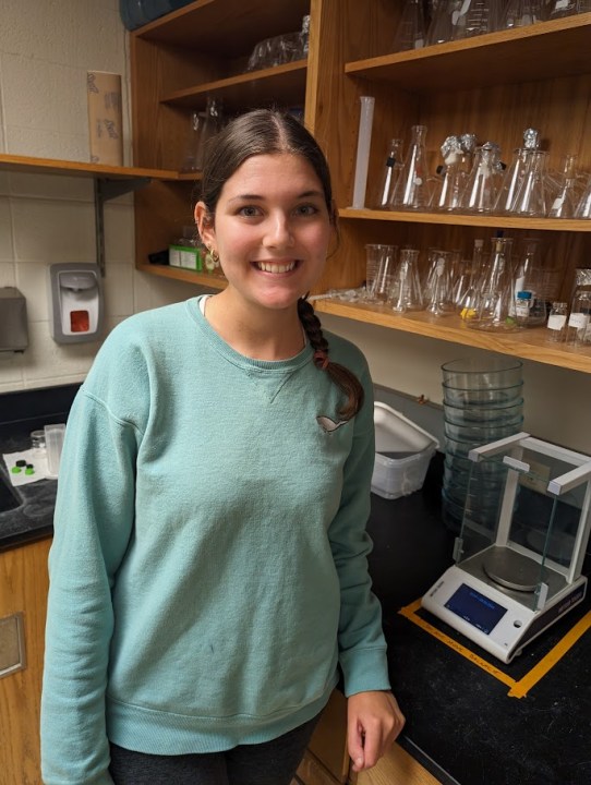 Hannah Phillips (bio)