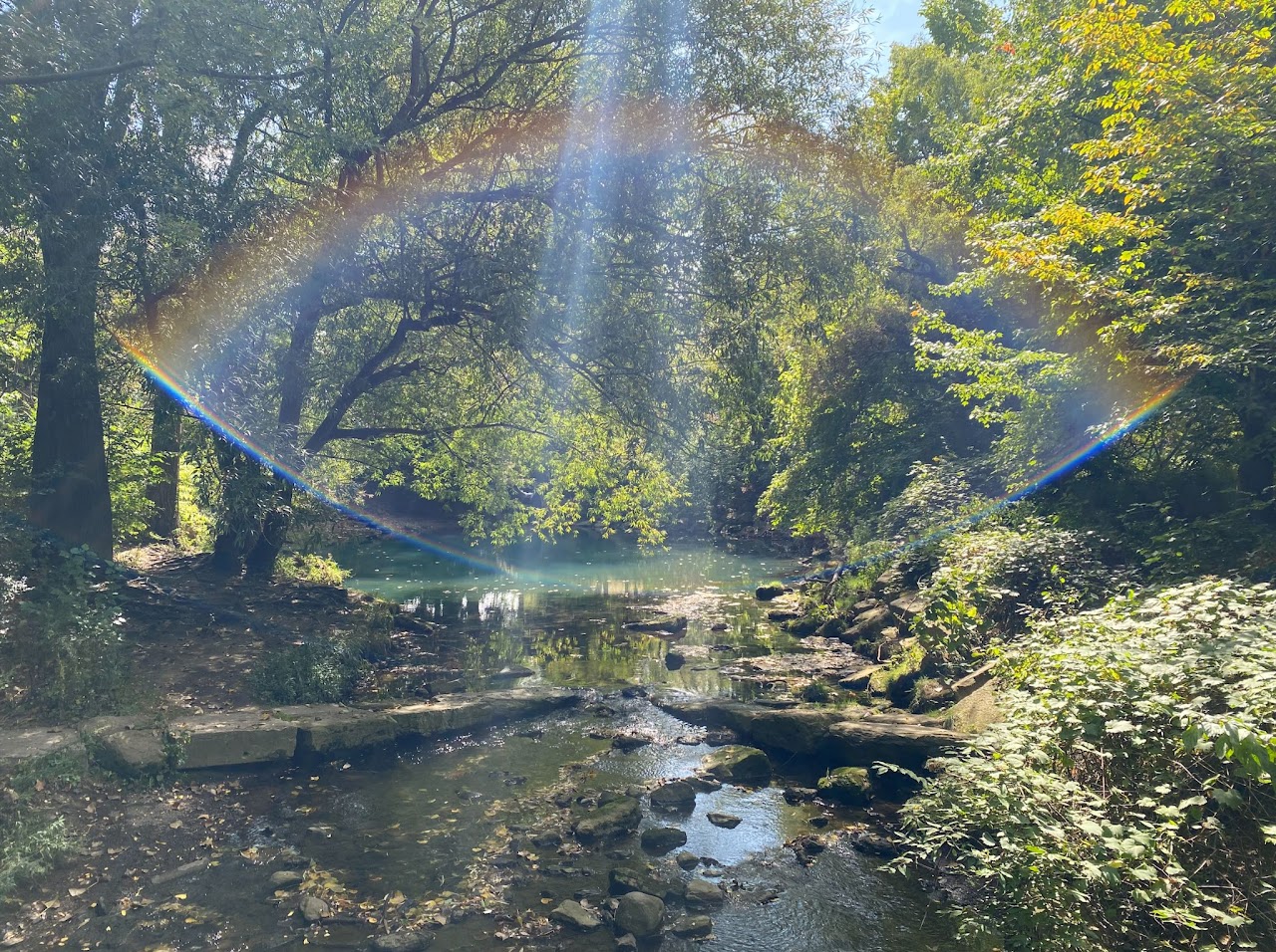 processed-BD4DD590-EDDD-4E86-A1B5-C2901D374CD0